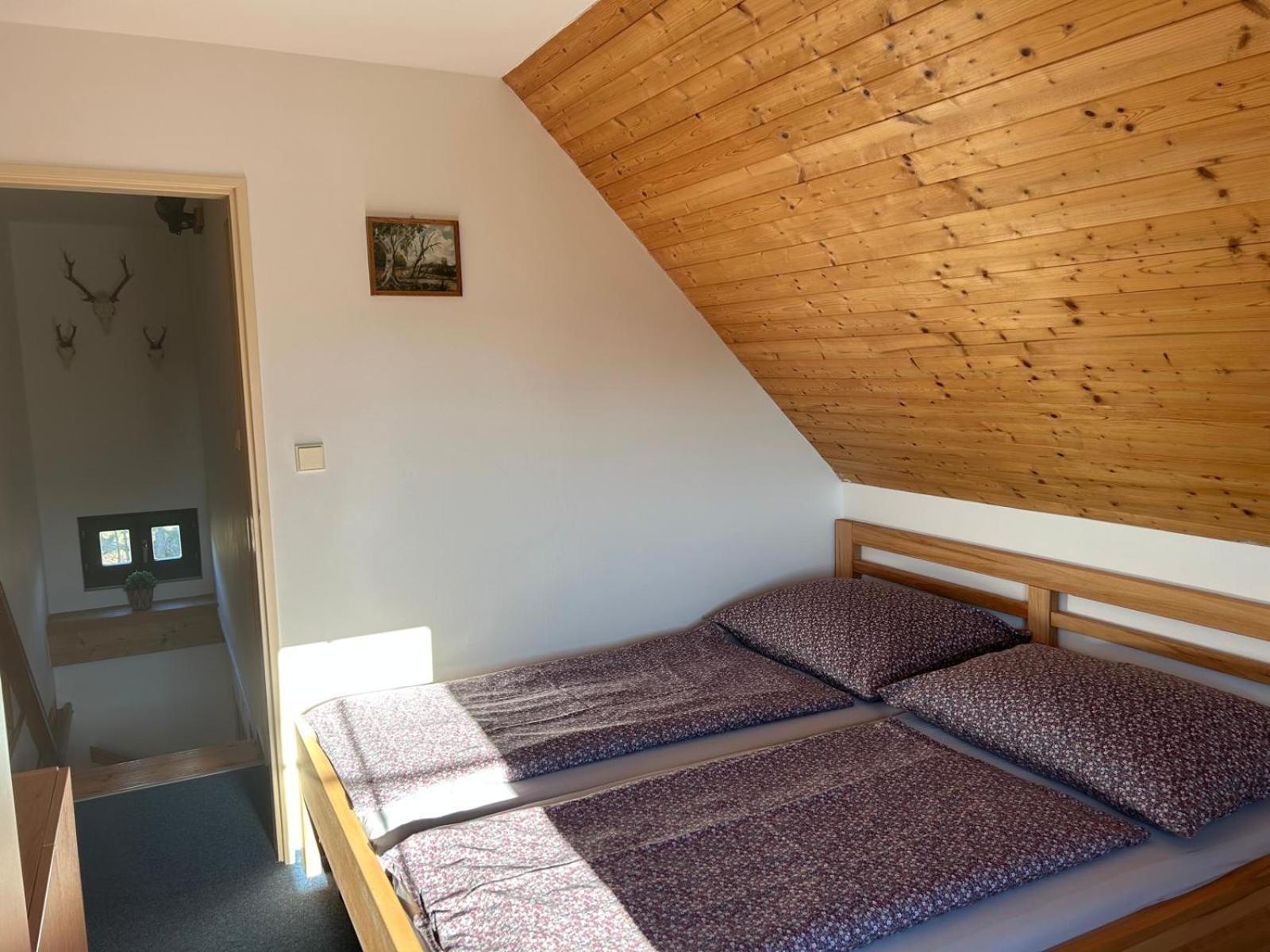 Vila 66 - Cista V Krkonosich Černý Dŭl Ngoại thất bức ảnh